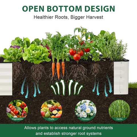 Diagram of galvanized raised garden bed kit 8x2x1 ft with open bottom for veggies, herbs, and flowers, showing root growth and drainage