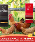 Heavy Duty Metal Chicken Feeder 2 Pack With Tight Lid Automatic Gravity Trough for oyster and grit feeding in coop.
