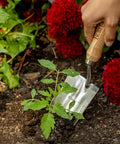 13 Inch Stainless Steel Garden Trowel With Oak Handle And Leather Wrist Strap Built To Last For Digging And Planting Durable Rust Resistant Tool With Long Lasting Performance And 10 Year Warranty in use in garden soil