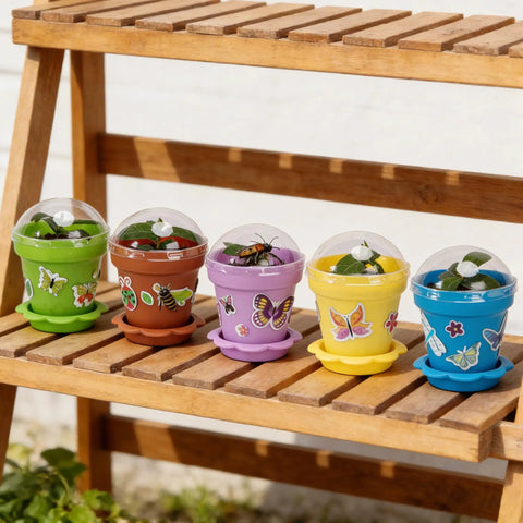 Dope Color Mix Nursery Pots With Humidity Domes And Trays, 25 Pack Seed Starter Pots featuring colorful pots with clear domes.