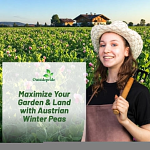 Smiling gardener holding tools in Austrian Winter Peas field with promotion for Austrian Winter Peas Seeds For Planting 10 Lb Bag