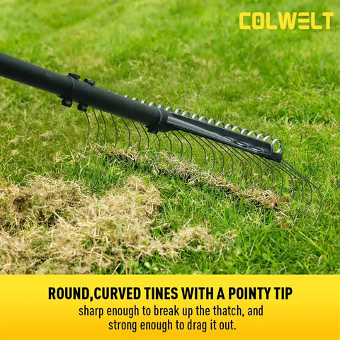 61-Inch Dethatcher Rake For Lawns With Thin Curved Spring Steel Tines removing thatch on grassy lawn