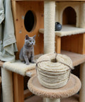 Natural Sisal Rope Replacement For Cat Tree And Scratching Post 164Ft Durable Scratcher Rope with cat tree in background