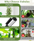 Comparison chart for Obelisk Garden Trellis For Climbing Plants 6 Ft Rustproof Plastic Coated Metal Vine Support Cage For Pots No Fuss Ideal For Morning Glory Clematis Rose Indoors Or Outdoors Weatherproof UV Resistant Plant Support showing advantages over other trellises.