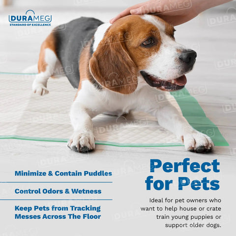Heavy Duty Extra Large Disposable Underpads To Cover Your Mattress For Keeps, Super Absorbent Waterproof Adult Incontinence Sheets And Tough Puppy Pads For Dogs, 36X36 50 Count Pack with a beagle on a pad.