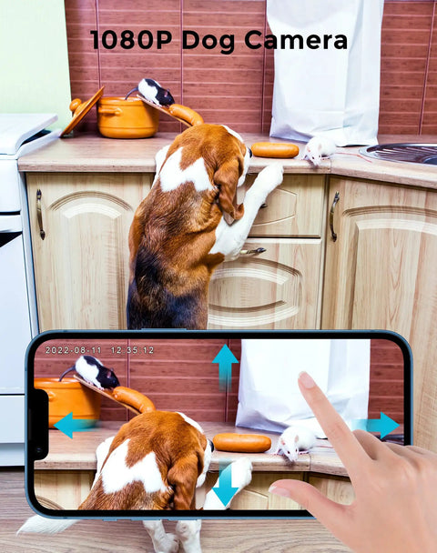 1080P WiFi indoor pet camera displaying dog on kitchen counter via phone app.