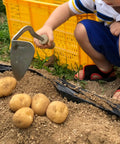 Child using Forged Garden Hand Plow Hoe Weeder Sickle With Wooden Handle Korean Daejanggan Style Ho Mi for harvesting potatoes.