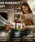 Woman holding a gift-wrapped Indoor Cat Grass Kit With Four Seed Packets, Wooden Planter, Coconut Coir Soil Discs, And Mini Tools.