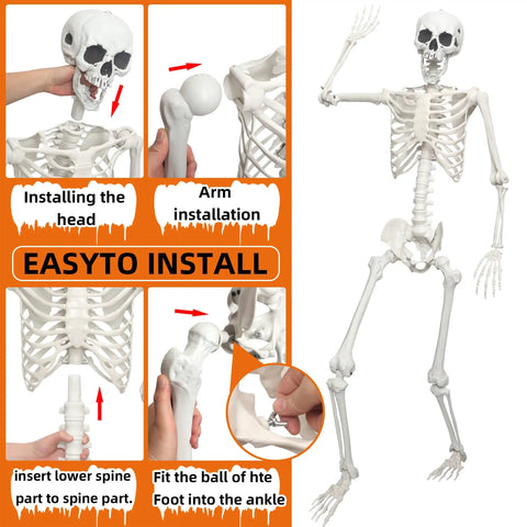 Epic Life Size Halloween Skeleton With Movable Joints assembly steps, showing head, arm, and foot installation.