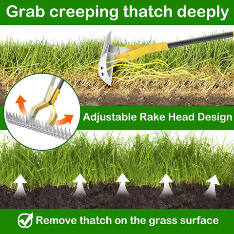 Thatch Rake For Lawns 15 Inch Dethatcher With Heavy Duty Steel Tines Removes Dead Grass showing adjustable rake on lawn