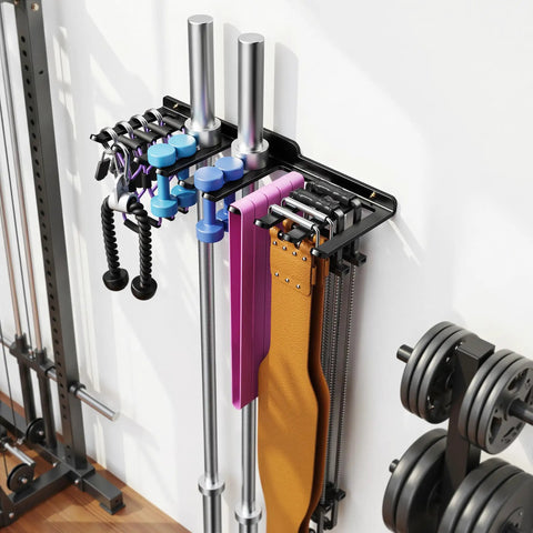 Beast Wall Mounted Home Gym Rack with 175 lb total capacity holding bars, bands, and belts neatly organized on a wall.