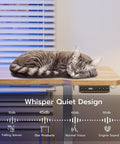 Acrolix L Shaped Electric Standing Desk 51x31.5 Inch with cat resting on oak surface, showing whisper quiet design.