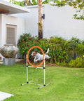Dog jumping through 2 In 1 Adjustable Dog Agility Jump Set With Carry Bag Tire Jump Ring Or Hurdle Bar in backyard setup