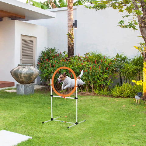 Dog jumping through 2 In 1 Adjustable Dog Agility Jump Set With Carry Bag Tire Jump Ring Or Hurdle Bar in backyard setup