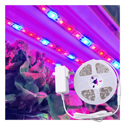 Full Spectrum LED Grow Light Tape Kit 11.8 Foot Flexible Strip For Indoor Plants And Gardening 24W close-up on reel and plug