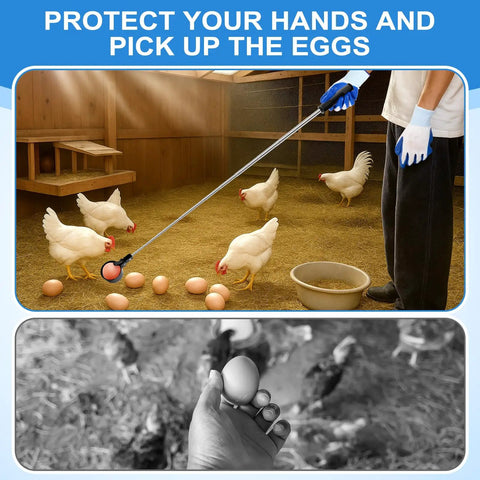 Extendable Egg Grabber Tool For Chicken Eggs, Stainless Steel Picker With 15.7 To 76 Inch Adjustable Handle And Non Slip Gloves, Ideal For Coop Nest And Poultry Farm Use, No Bending Hassle