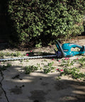 18V LXT Cordless Hedge Trimmer With 24 Inch Dual Action Blade Tool Only on pavement near trimmed bushes