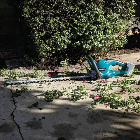 18V LXT Cordless Hedge Trimmer With 24 Inch Dual Action Blade Tool Only on pavement near trimmed bushes