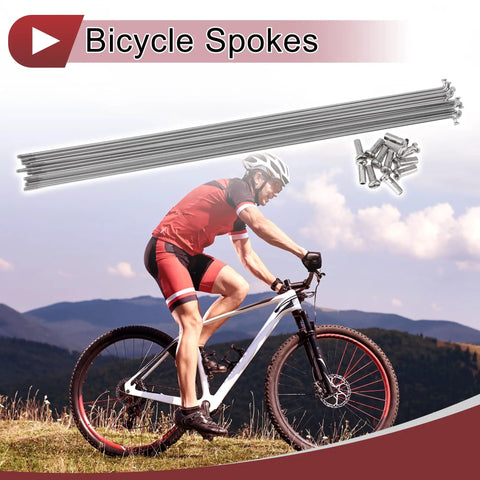Cyclist with 12 Pack 14G Bicycle Spokes 295mm Stainless Steel 304 Silver Tone with Copper Nipples for Wheel Build