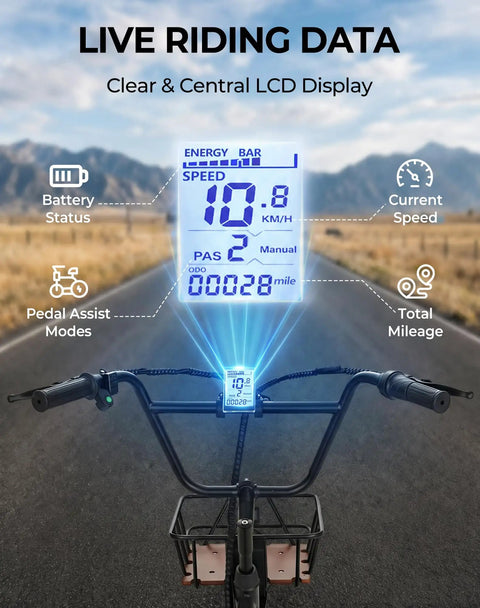Electric Trike With Peak 1000W Power For Hills And City, 20 Inch Folding Three Wheel E Tricycle For Adults, Step Through Frame, 624Wh Removable Battery, Large Basket, Classic Black display with speed, battery, PAS and mileage on handlebars