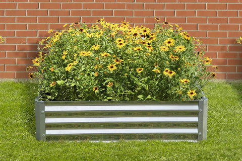 Galvanized Steel Raised Garden Bed For Flowers And Plants, filled with blooming flowers against a brick wall