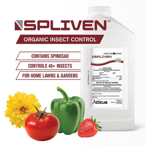 Organic Insecticide With Spinosad 0.5 Percent Concentrate 32 Oz Outdoor Insect Killer For Vegetable Gardens Lawns And Landscapes OMRI Listed