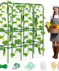 U Shaped Garden Cucumber Trellis For Raised Beds A Sturdy 62 Inch Tall Metal Plant Support with gardener holding produce basket
