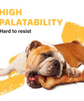 Bulldog enjoying Turkey Tendon Dog Chews Bulk Pack Ten Count, 100 Percent Turkey Sourced In The US, Hypoallergenic, All Natural Single-Ingredient Puppy Treat, Rawhide Alternative, Large Bone Sized Chews For Strong Teeth