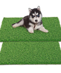 Two Pack 30X20 Inch Dog Potty Grass Training Turf Mats With Drainage Holes, Washable Artificial Grass Rug With Puppy