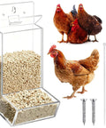 Clear Acrylic Oyster Shell And Grit Feeder For Chickens With Heavy Duty Lid And No Sweat Wall Mount Clips, 25x10x10cm.