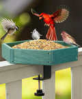 Adjustable Clamp On Deck Bird Feeder For Balcony Railings featuring Dead Simple no Drill Installation with birds feeding.