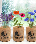 Indoor Daisy Garden Starter Kit With Planter Bags, Markers, Soil Disks, Mini Shears, And Planting Guide with blooming flowers