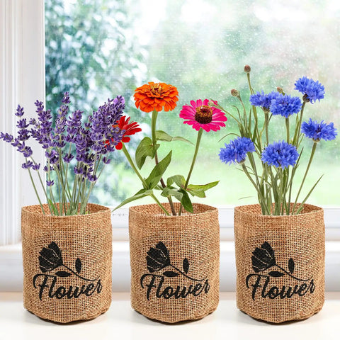 Indoor Daisy Garden Starter Kit With Planter Bags, Markers, Soil Disks, Mini Shears, And Planting Guide with blooming flowers