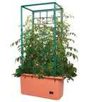Tomato Garden Planting Grow System With A 10 Gallon Planter And A 4 Foot Trellis Tower On Wheels For Indoor Outdoor Climbing Vines Flowers And Gardens with tomato plants