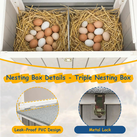 Wooden Chicken Coop On Wheels For Easy Backyard Mobility shown with nesting boxes, eggs, PVC design, and metal lock detail.