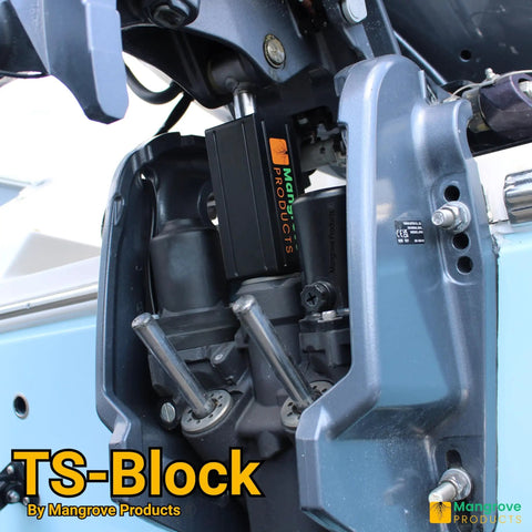 Transom Saver Wedge For Outboard Motors With Single Ram Hydraulic Tilt Go-To Pontoon Boat Trailer Accessory That Keeps Yamaha Mercury Suzuki Honda Evinrude Tohatsu Outboards Safe On The Road