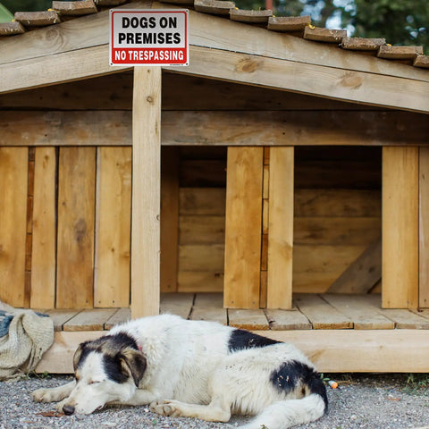 Two Pack Dogs On Duty Warning Signs, No Funny Business Trespassing Yard Markers, Heavy Gauge.040 Reflective Aluminum Plates, Rain Or Shine Weatherproof And Rust Free For Easy Home Setup near sleeping dog.
