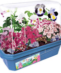 Flower Princess Palace Terrarium Starter Kit With Jewelweed And Princess Flowers Includes Prancing Pony Royal Gems