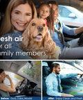 Family enjoying fresh air in car with dog, highlighting benefits of Top Notch Activated Carbon Cabin Air Filter Replacement For CF11643