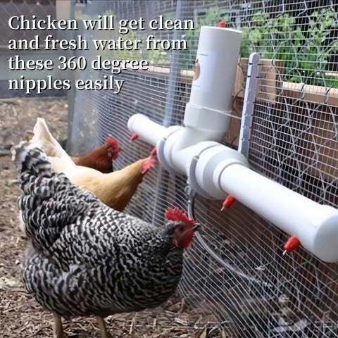 20 Pack Automatic Poultry Water Dispenser With Slick Stainless Steel Nipple Drinkers For Chickens Hens Ducks And Livestock featuring red nipples on PVC tubing.