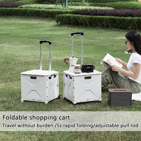 Collapsible rolling crate on wheels for teachers with heavy duty plastic tote basket in a garden with a woman reading nearby.