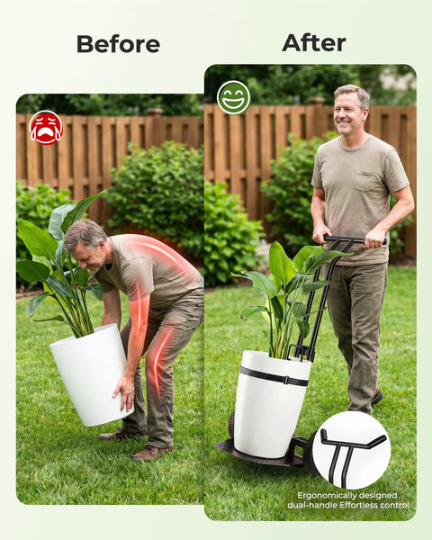 Before and after using Heavy Duty Plant Caddy With Wheels Featuring Ergonomic Y Shape Handle and Non Slip Grip.