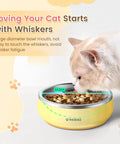 Built Tough Double Wall 304 Stainless Steel Chow Bowl For Small Dogs And Puppies Crash Bite Resistant No Tip Feeding Dish 12 Ounces with cat eating.