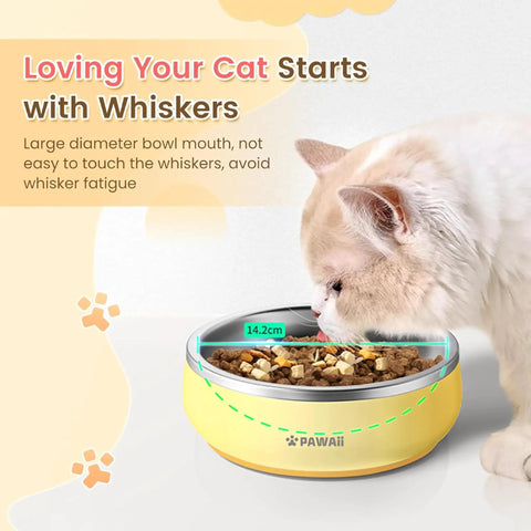 Built Tough Double Wall 304 Stainless Steel Chow Bowl For Small Dogs And Puppies Crash Bite Resistant No Tip Feeding Dish 12 Ounces with cat eating.