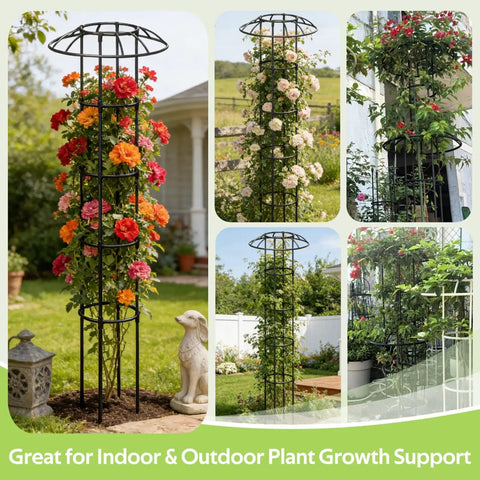 Outdoor Garden Trellis For Climbing Plants With Umbrella Top Round Obelisk 64 Inch Tall Rustproof PE Coated Metal Pipe in garden