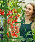 Person using Heavy Duty 48x48 Inch U Shape Metal Garden Trellis For Raised Beds With Adjustable Angle Arch Design Climbing Plant Support For Cucumbers, Vines, Vegetables And Flowers, Outdoor Space Saving Built To Last Garden Stake with tomatoes