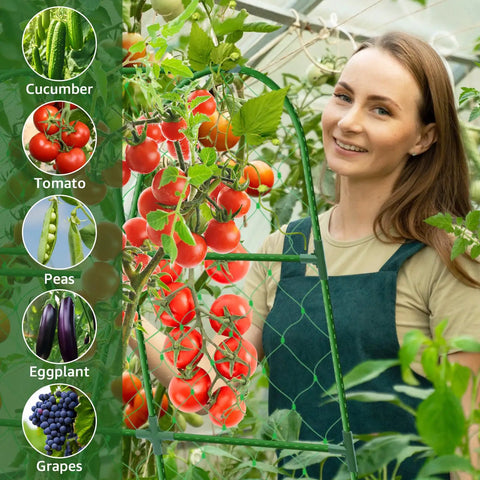 Person using Heavy Duty 48x48 Inch U Shape Metal Garden Trellis For Raised Beds With Adjustable Angle Arch Design Climbing Plant Support For Cucumbers, Vines, Vegetables And Flowers, Outdoor Space Saving Built To Last Garden Stake with tomatoes