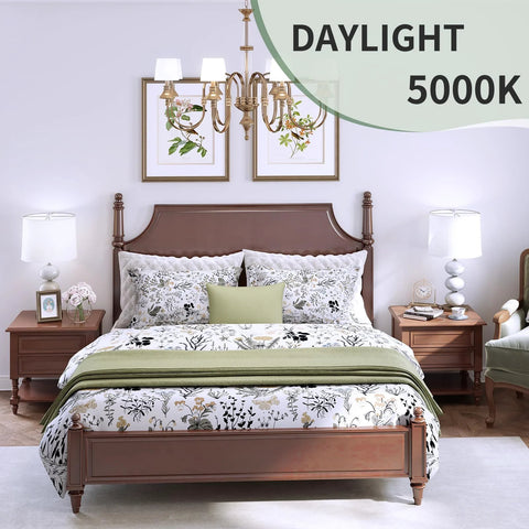 Bedroom with chandeliers and bedside tables lit by Six Pack A19 LED Light Bulbs With E26 Base 60 Watt Equivalent Daylight 5000K 9 Watts 800 Lumens Non Dimmable Long Life Up To 15000 Hours Ideal For Bedroom And Living Room Energy Saving Household Lighting