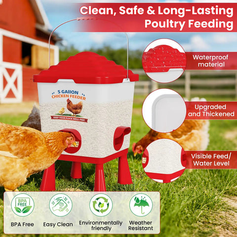 All In One Chicken Feeder And Waterer Set 5 Gallon Automatic Waterer With Cups No Waste shown with chickens and features labeled