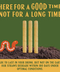 Bulk Agave Straws 6 Inch 2000 Count Sustainable And Compostable Drinking Straws Made From Upcycled Agave Plant Fiber Long Lasting And Durable Won't Get Soggy Perfect For Parties And Everyday Use. Three agave straws in soil with compostable label